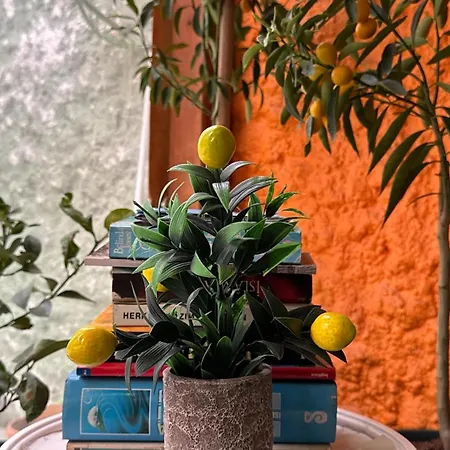 אודיירן Limon Hotel מראה חיצוני תמונה